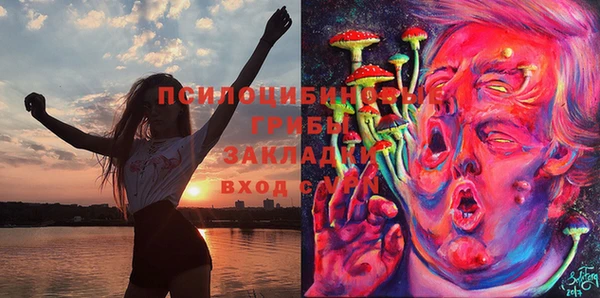 крисы Ладушкин
