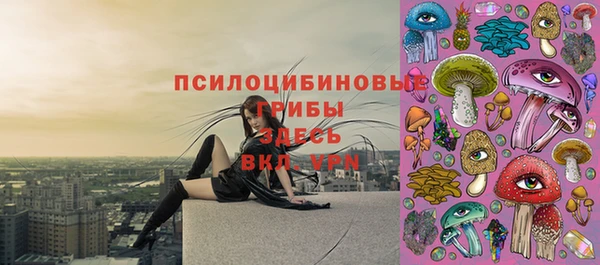 крисы Ладушкин